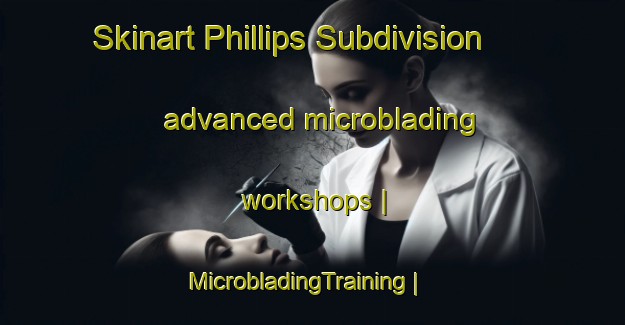 Skinart Phillips Subdivision advanced microblading workshops | MicrobladingTraining | MicrobladingClasses | SkinartTraining-United States
